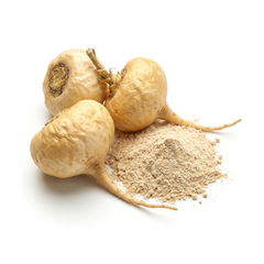 Maca Kökü