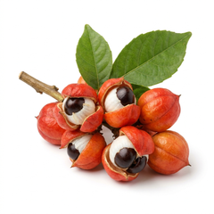 Guarana